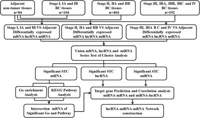 Comprehensive Analysis of lncRNA and miRNA Regulatory Network Reveals Potential Prognostic Non-coding RNA Involved in Breast Cancer Progression